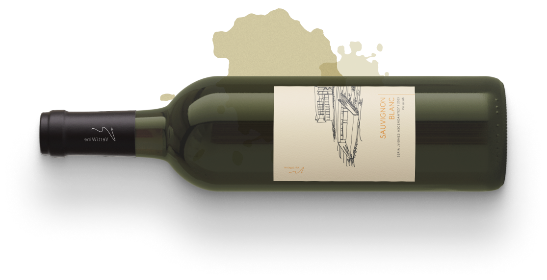 Sauvignon Blanc